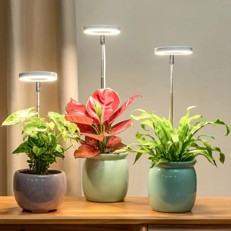 Plant Growth Regulator - LED Grow Light Full Spectrum Plant