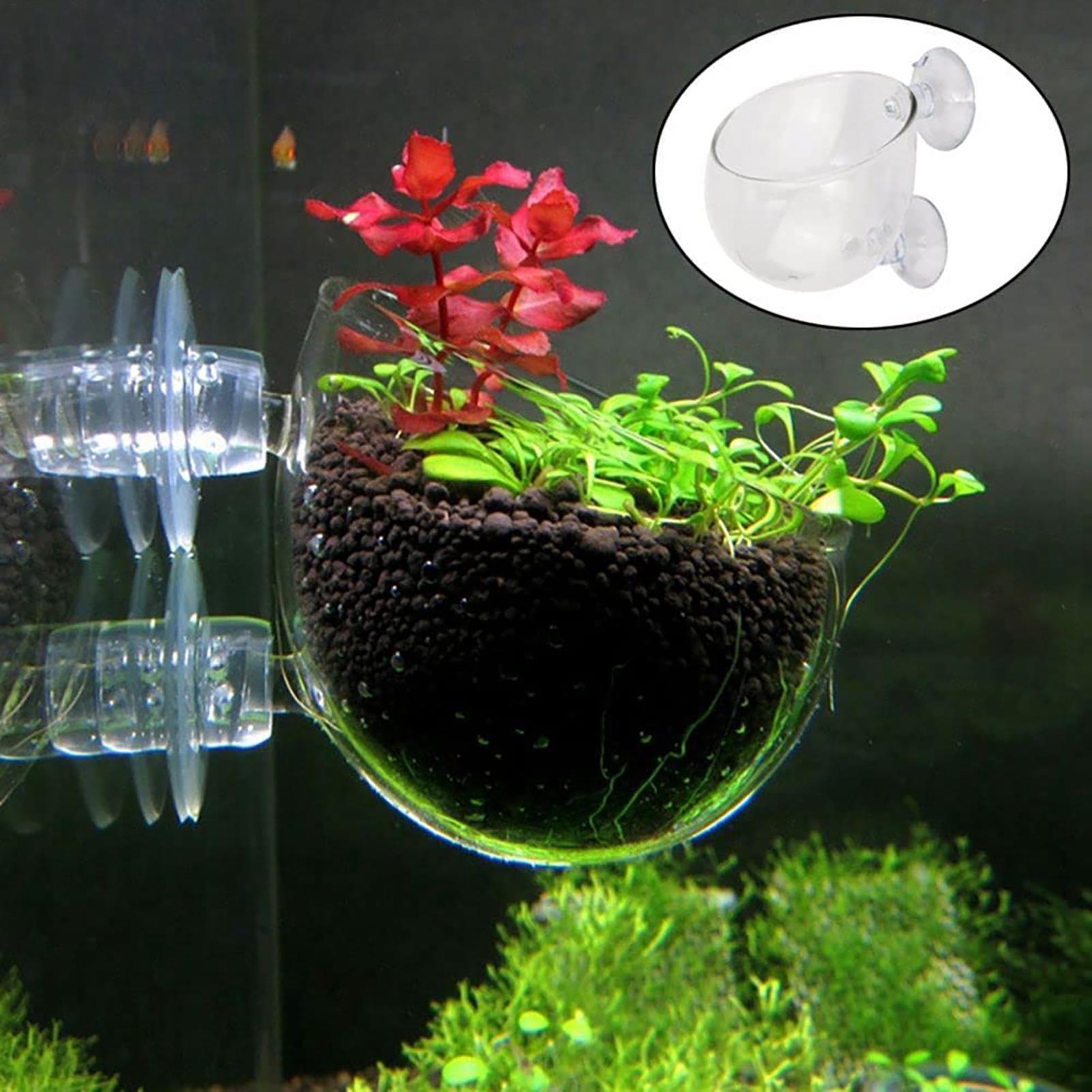 Plant Growth Regulator - Aquatic Plant Pot Clear Acrylic Aquarium