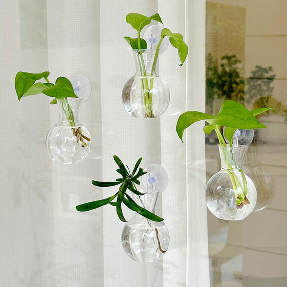 Plant Growth Regulator - 1/2/3/4/6/8Pcs Plant Propagation Bulb with Suction