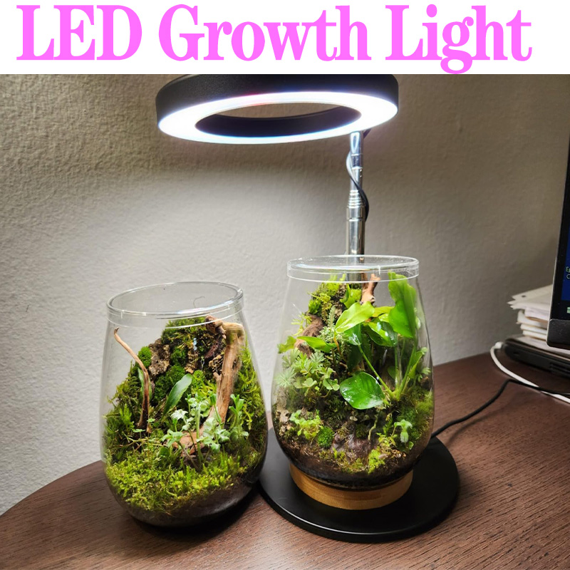 Plant Growth Regulator - Full Spectrum Plant Lamp USB Grow