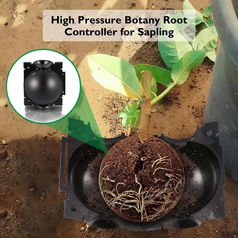 5/30Pcs Plant Rooting Ball Gra - đánh giá và giá Plant Growth Regulator