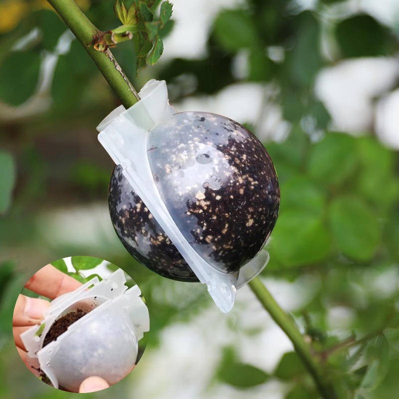 5/30Pcs Plant Rooting Ball Gra - đánh giá và giá Plant Growth Regulator