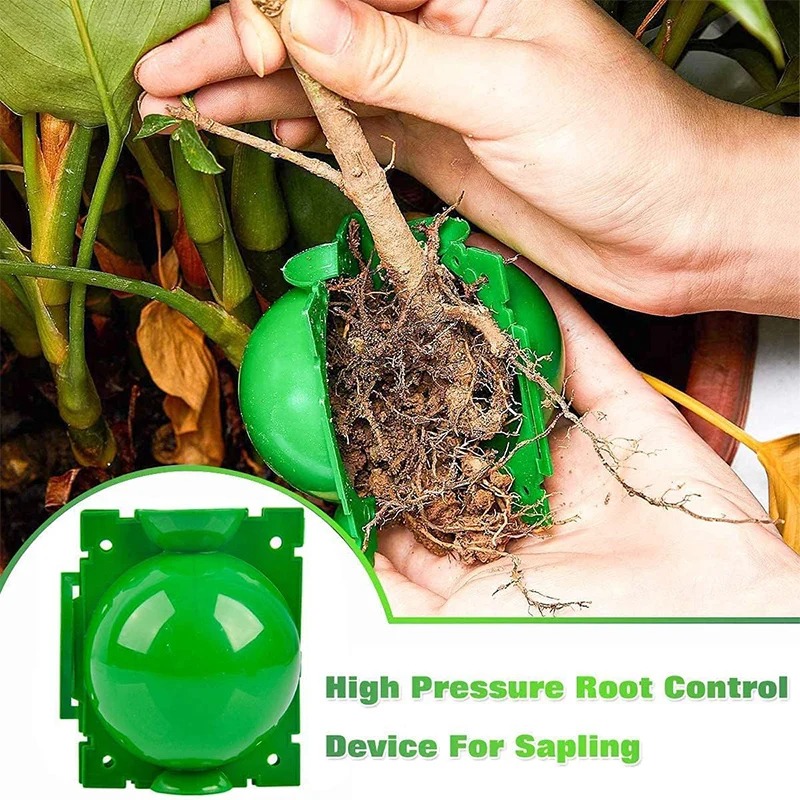 5/30Pcs Plant Rooting Ball Gra - đánh giá và giá Plant Growth Regulator