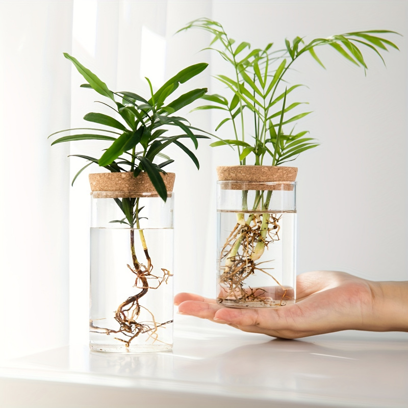 1pc, Hydroponics Plants Deskto - đánh giá và giá Plant Growth Regulator