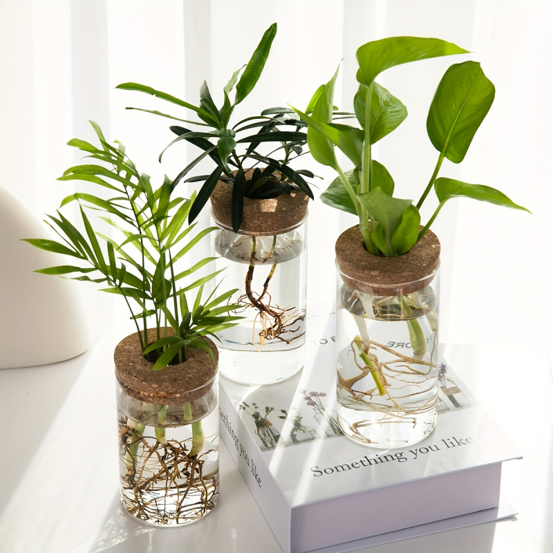 1pc, Hydroponics Plants Deskto - đánh giá và giá Plant Growth Regulator
