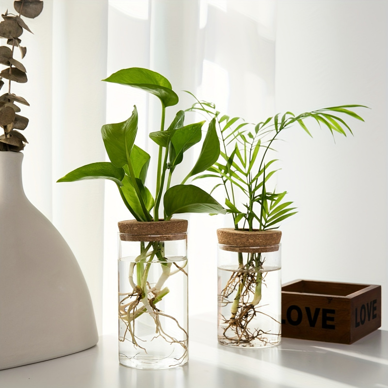 1pc, Hydroponics Plants Deskto - đánh giá và giá Plant Growth Regulator