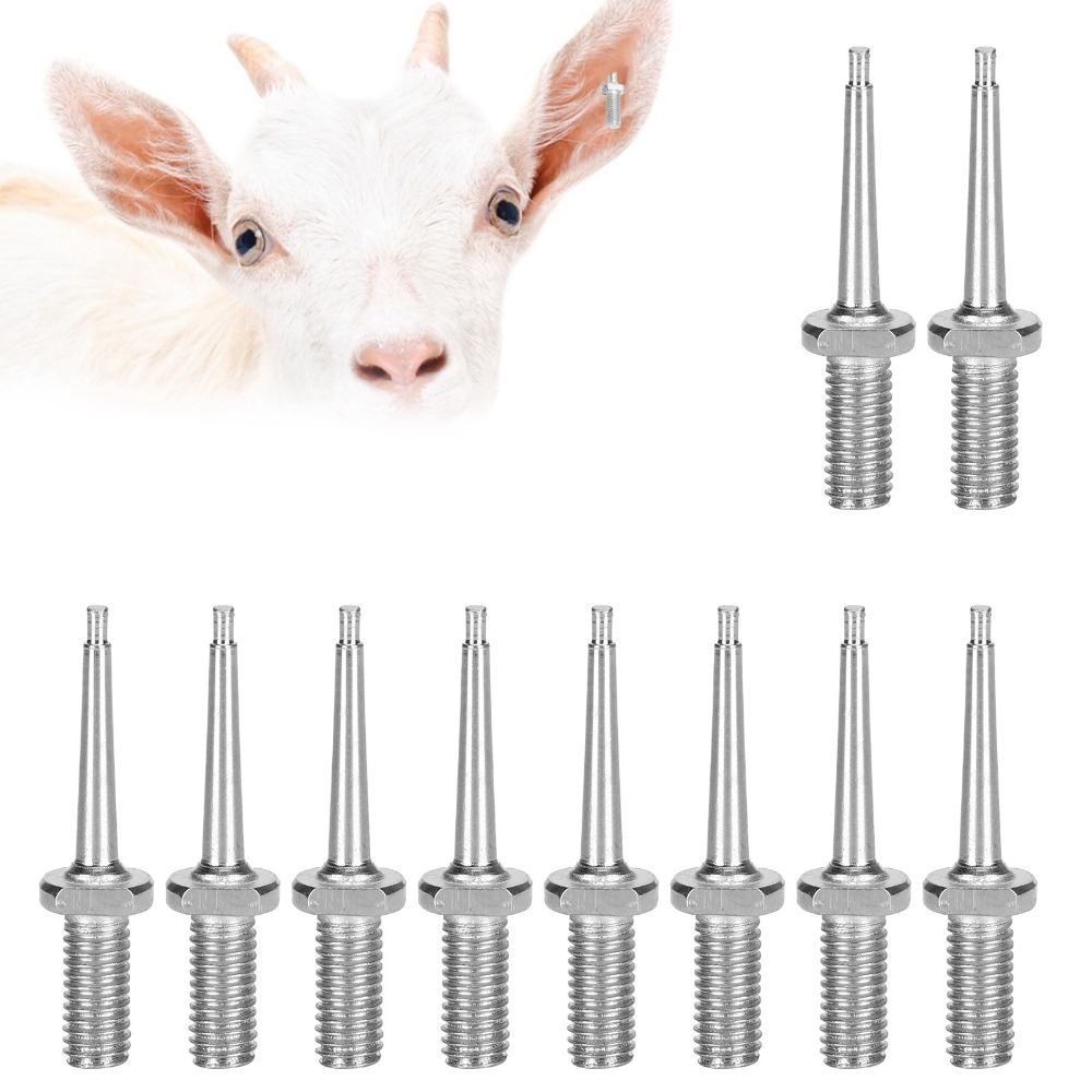 10Pcs Practical Stainless Stee - đánh giá và giá Livestock Ear Tag