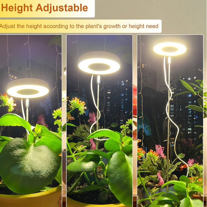 LED Grow Light Full Spectrum P - đánh giá và giá Plant Growth Regulator