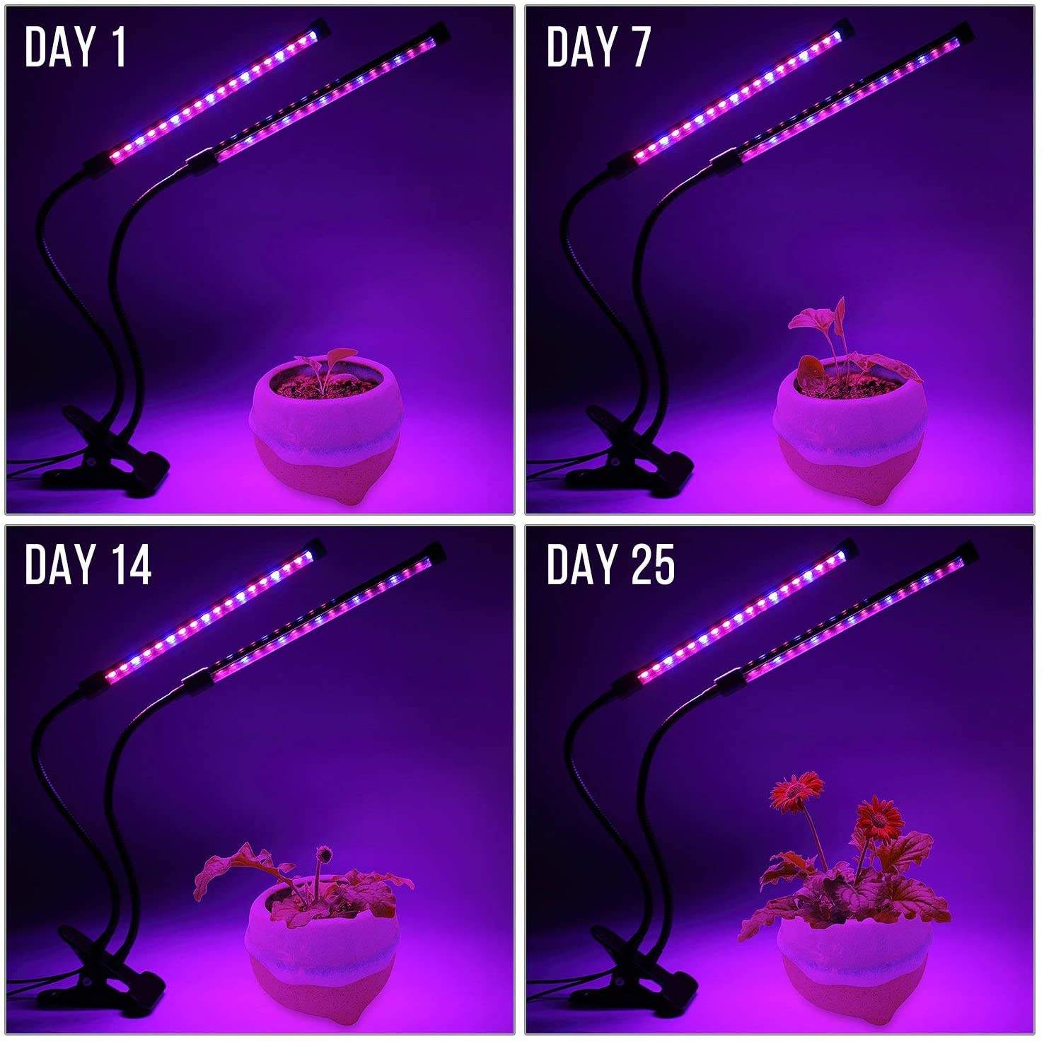 USB LED Plant Grow Light Indoo - đánh giá và giá Plant Growth Regulator
