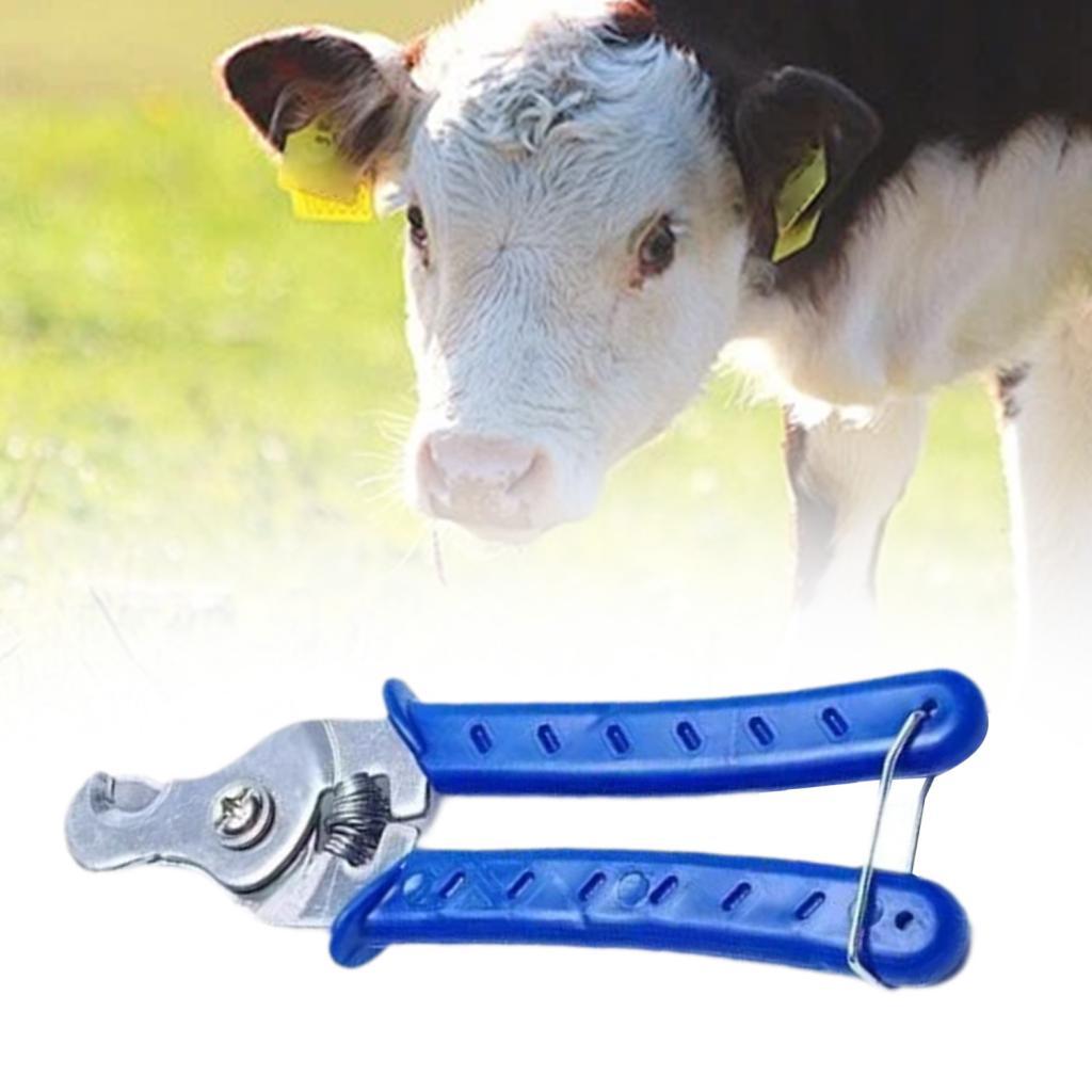 Stainless Steel Animal Ear Tag - đánh giá và giá Livestock Ear Tag
