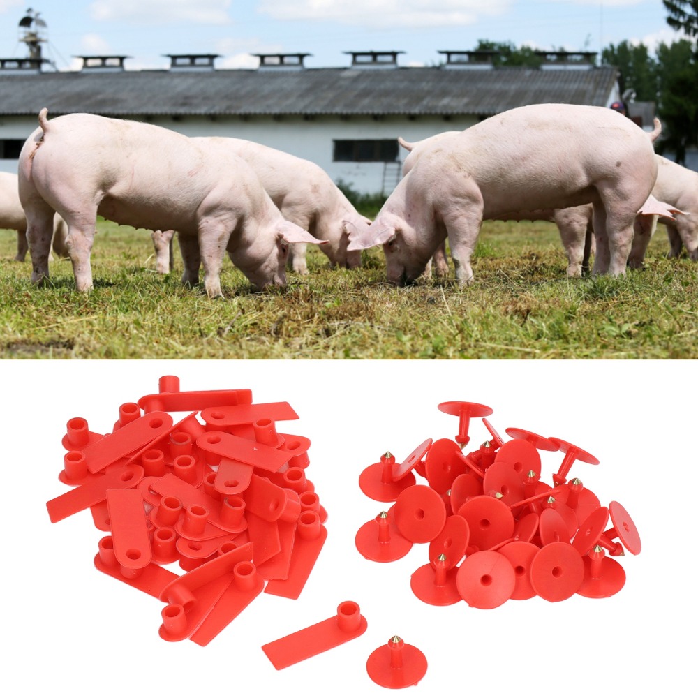 100Pcs Hand-writable Blank Liv - đánh giá và giá Livestock Ear Tag