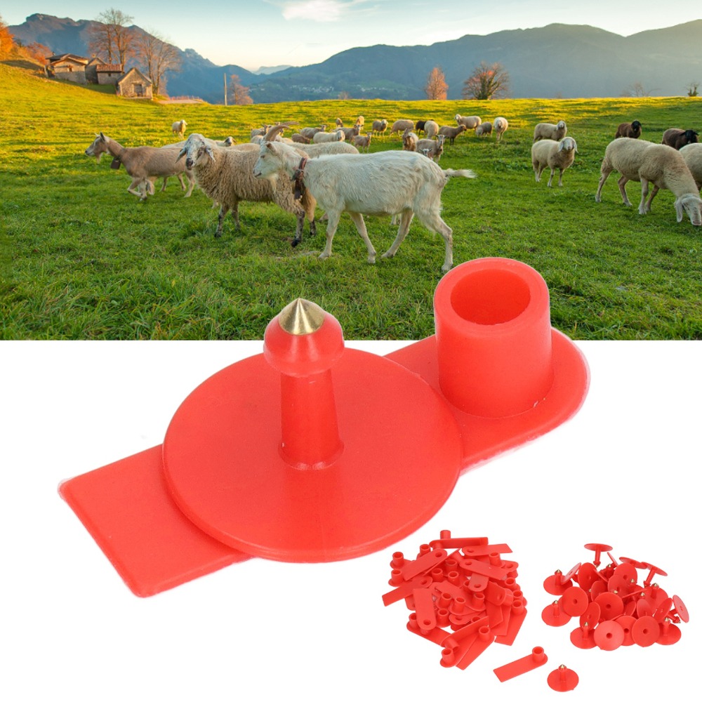 100Pcs Hand-writable Blank Liv - đánh giá và giá Livestock Ear Tag