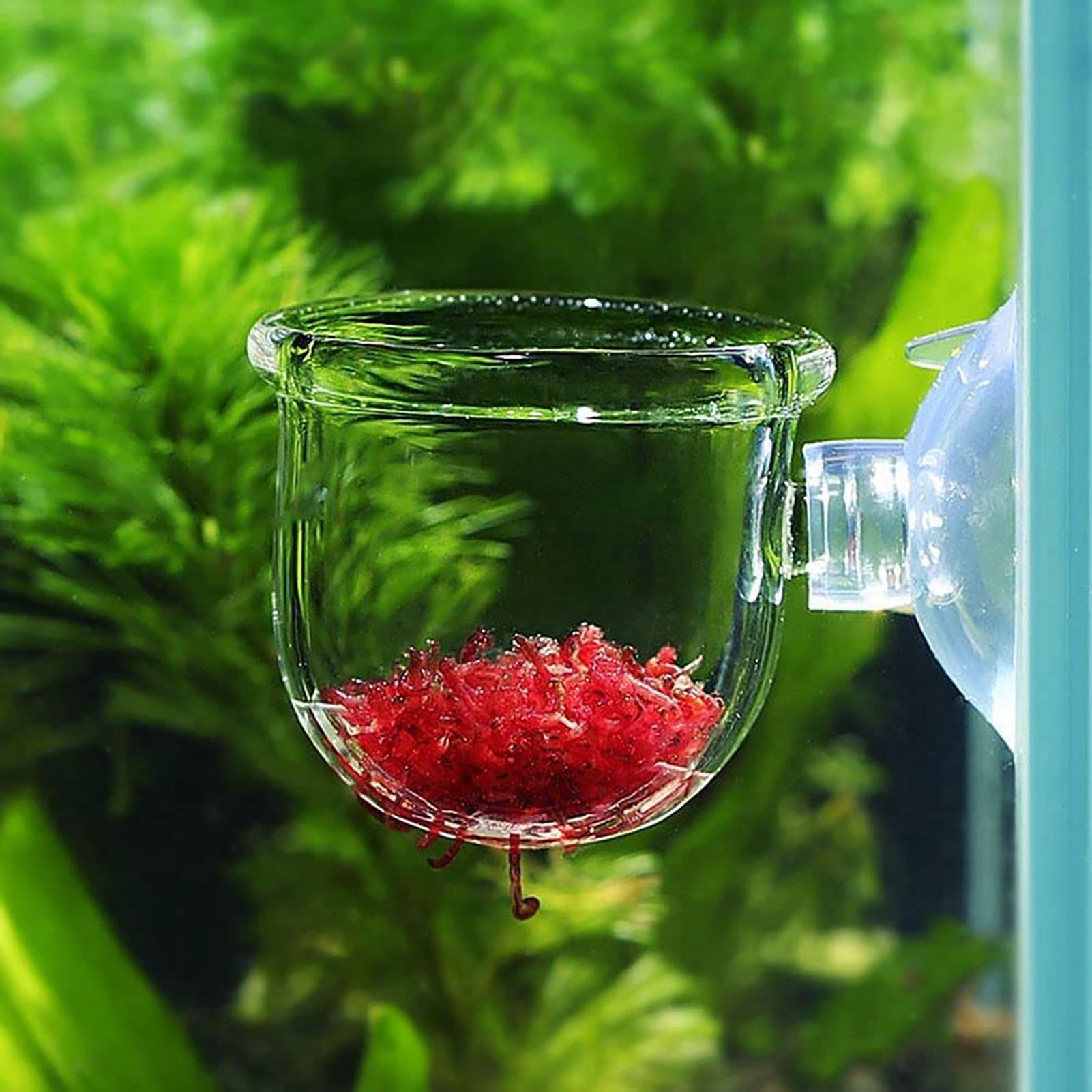 Aquatic Plant Pot Clear Acryli - đánh giá và giá Plant Growth Regulator