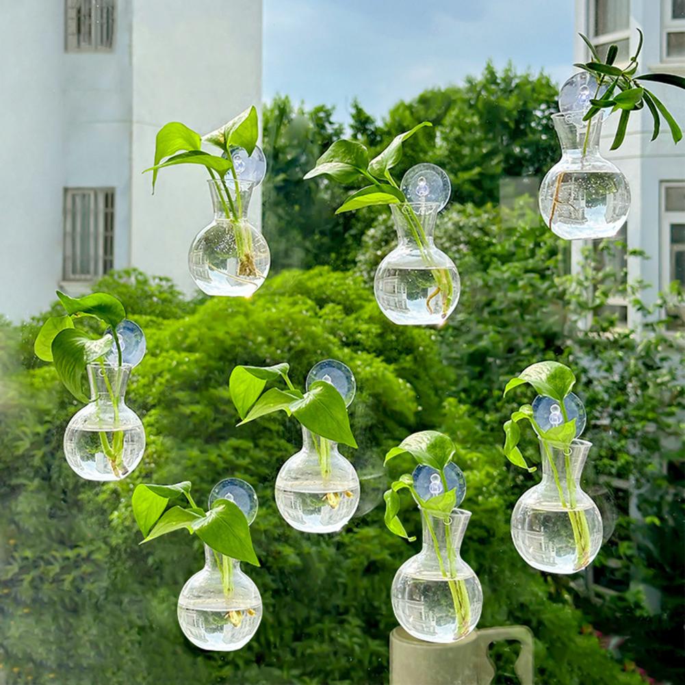 1/2/3/4/6/8Pcs Plant Propagati - đánh giá và giá Plant Growth Regulator