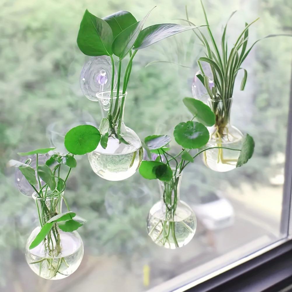 1/2/3/4/6/8Pcs Plant Propagati - đánh giá và giá Plant Growth Regulator