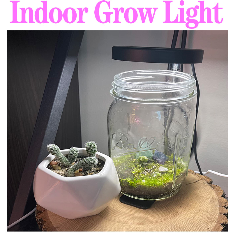 Full Spectrum Plant Lamp USB G - đánh giá và giá Plant Growth Regulator