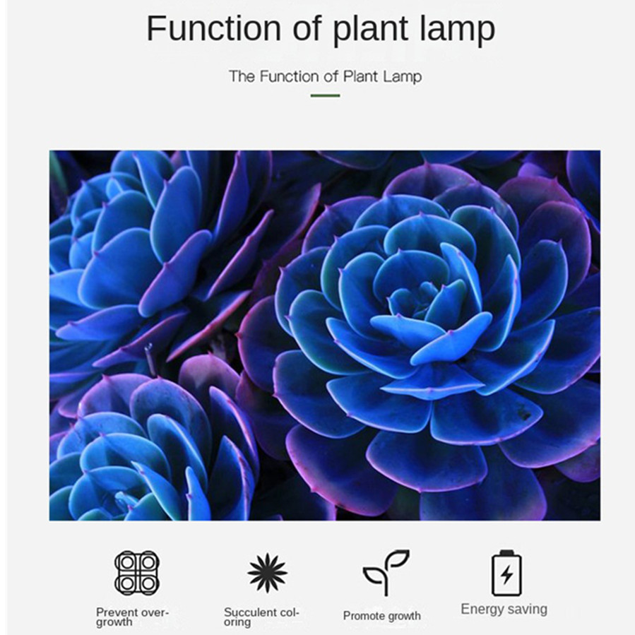 PwwQmm LED Plant Grow Lamp USB - đánh giá và giá Plant Growth Regulator
