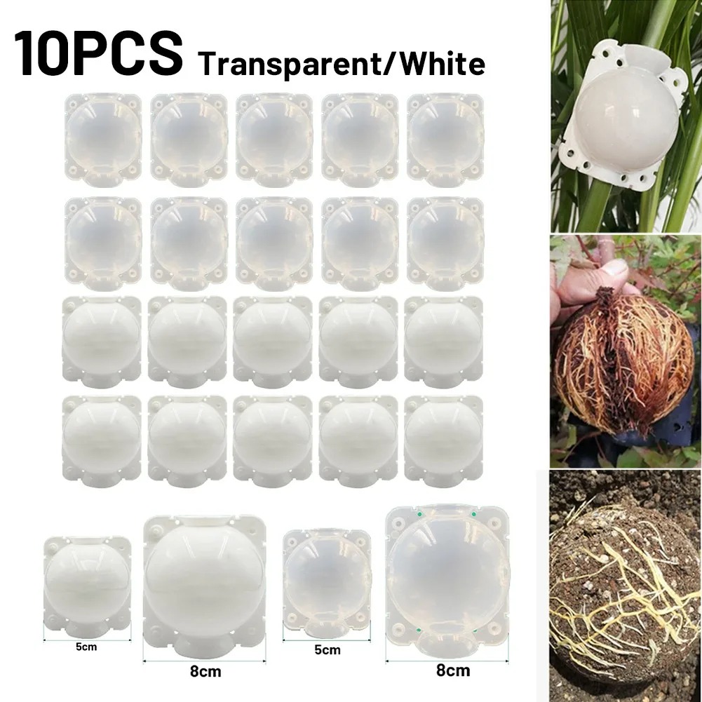 10pcs 5/8/12cm Plant Root Grow - đánh giá và giá Plant Growth Regulator