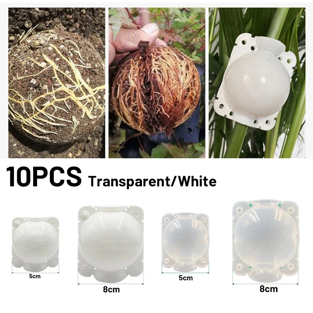 10pcs 5/8/12cm Plant Root Grow - đánh giá và giá Plant Growth Regulator