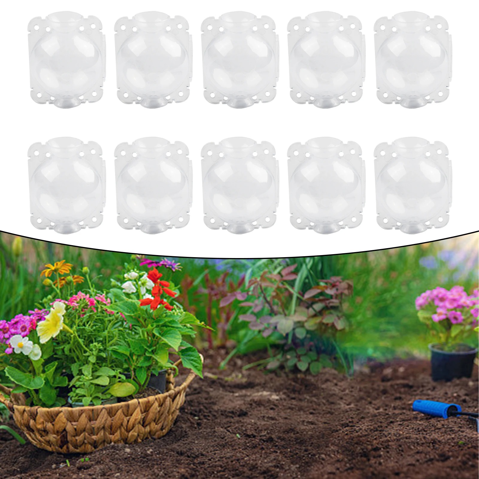 10pcs 5/8/12cm Plant Root Grow - đánh giá và giá Plant Growth Regulator